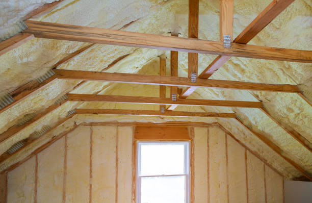 Best Specialized Insulation Services in Whitmire, SC