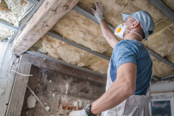 Best Spray Foam Insulation in Whitmire, SC