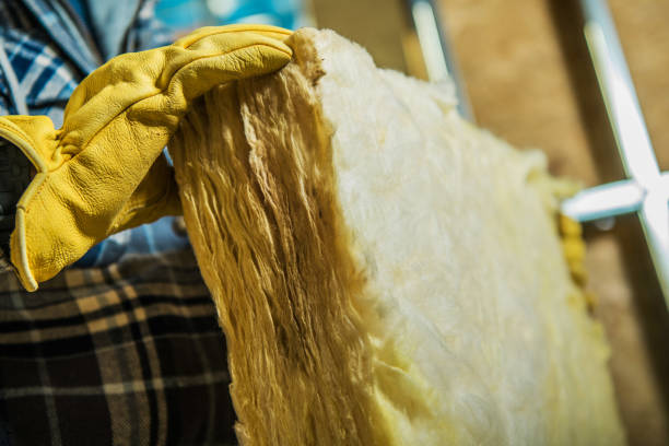 Best Geographic-Specific Insulation Services in Whitmire, SC