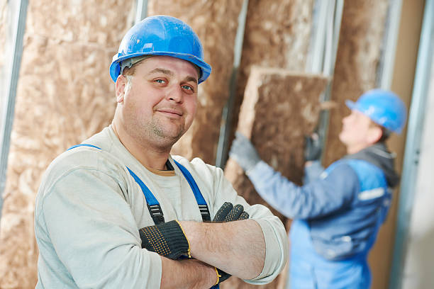Best Eco-Friendly Insulation in Whitmire, SC